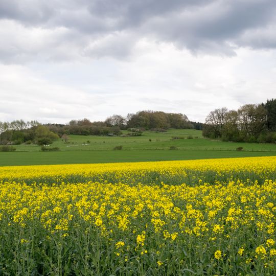 LSG-Gruenland-Gebuesch-Waldkomplex nordwestlich Horn
