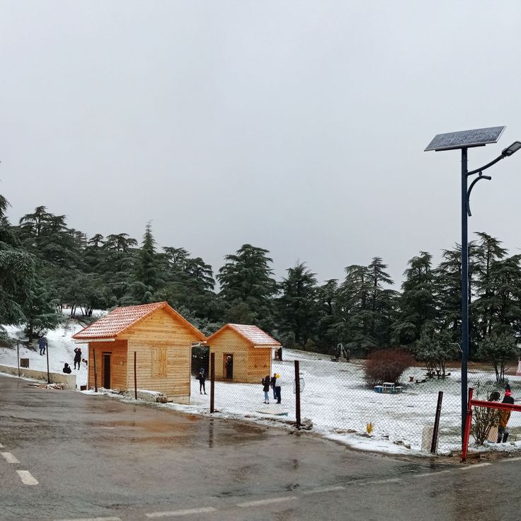 Theniet-El-Had-Nationalpark