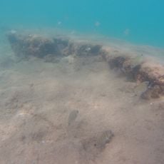 Espacio Subacuático Laja del Palo