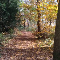 Parc de Gazonfier
