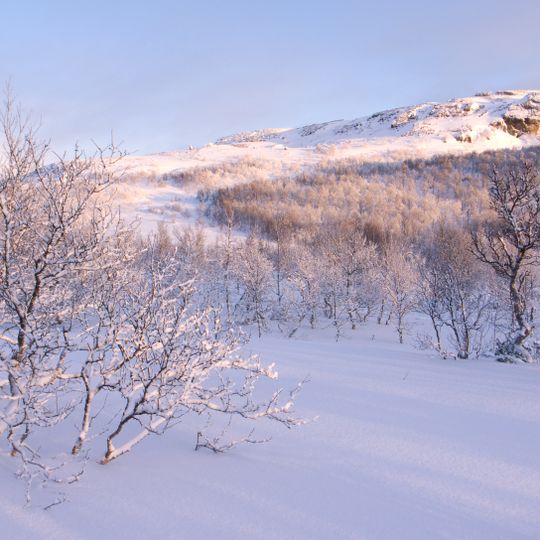 Parco nazionale Femundsmarka
