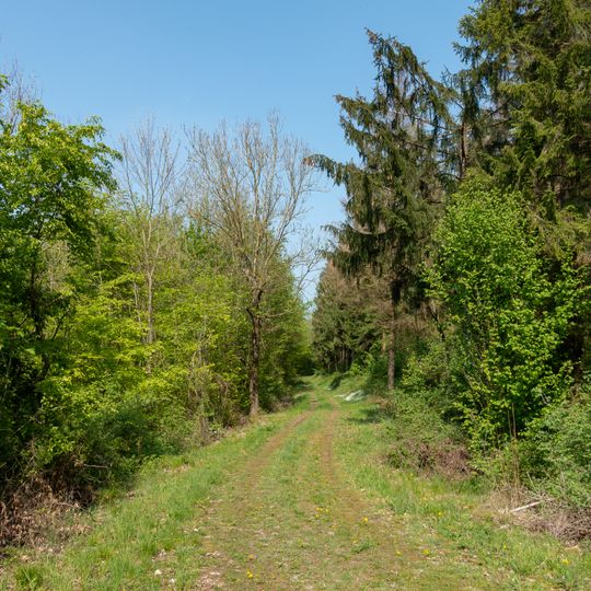 Raeuschenbergplateau mit Loesshangzone zwischen Hoexter und Brenkhausen