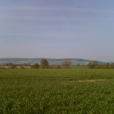 Ellenser Wald
