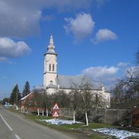 Victor Vlad Delamarina