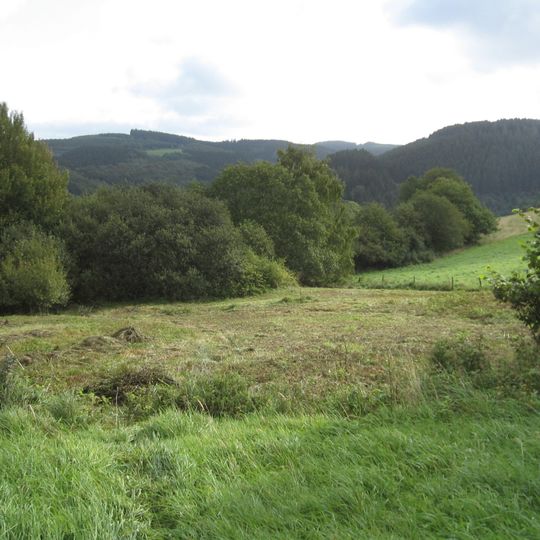 Grünlandbrache südlich von Hagen