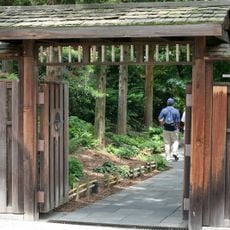 National Bonsai and Penjing Museum