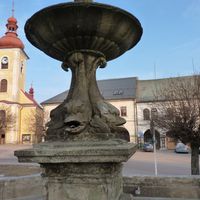 Rokytnice v Orlických horách