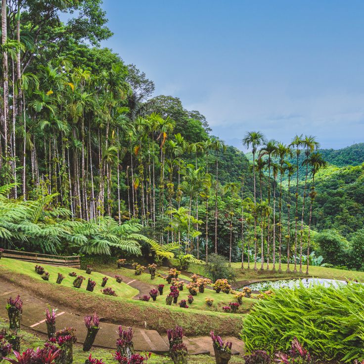 Balata Gardens
