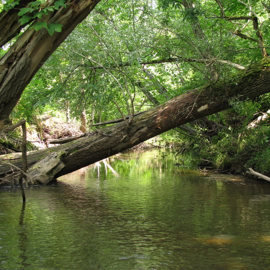LSG Raistinger Lichtenau und Tal der Rott zwischen Stillern und Zellsee