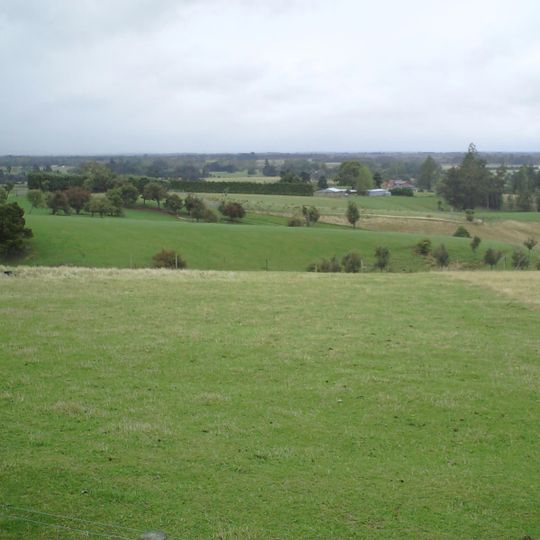 Canterbury Plains