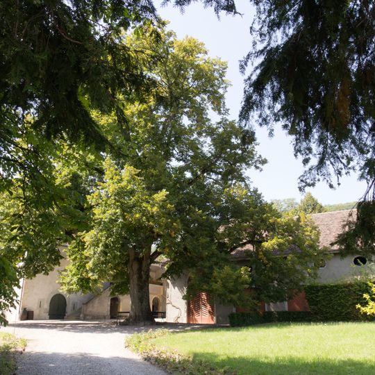 Château avec dépendances viticoles