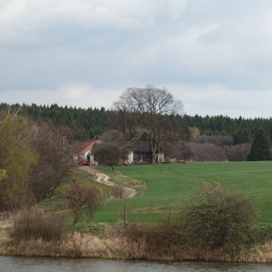 Javor klen u samoty Zhorec