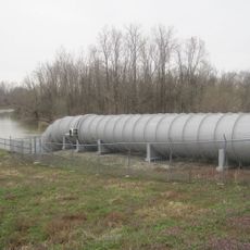 Marked Tree Lock and Siphons