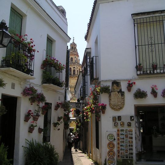 Calleja de las Flores