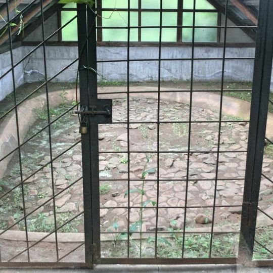 Kogasaka Stone Age Site