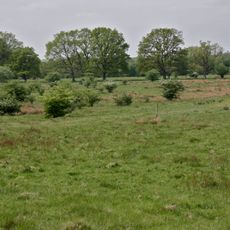 Höltigbaum