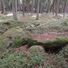 Großsteingrab Glüsingen