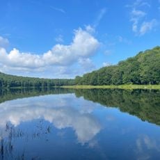Alder Lake