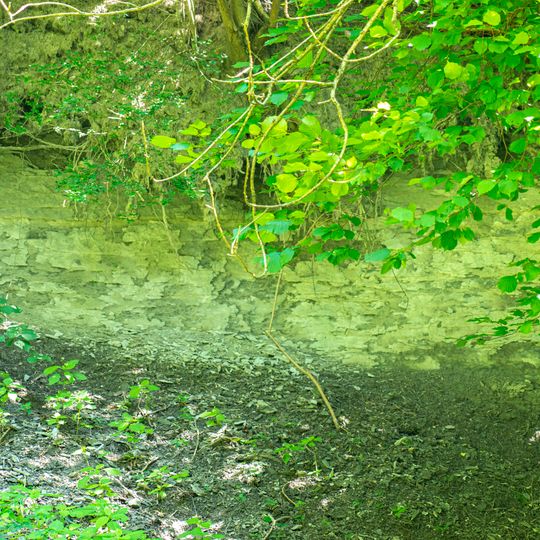 Ottnangien von Wolfsegg