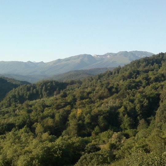 Urus-Martanovskij rajon