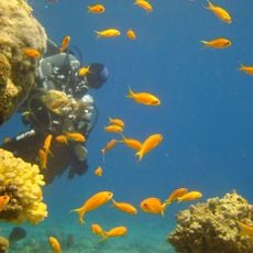 Eilat's Coral Beach