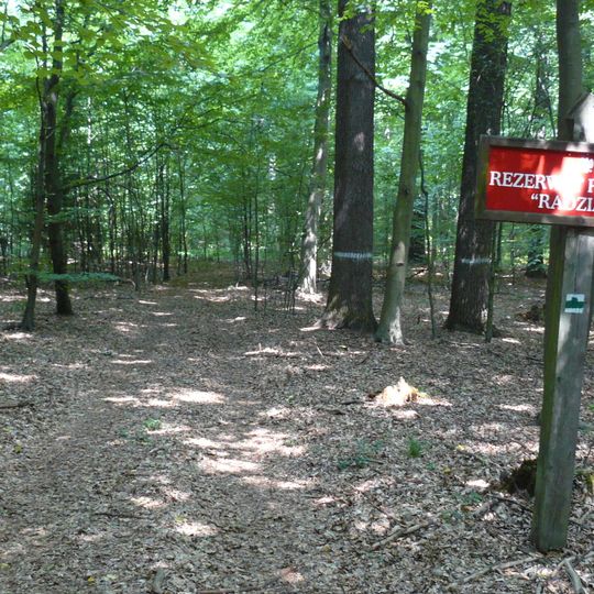 Nature reserve Radziądz