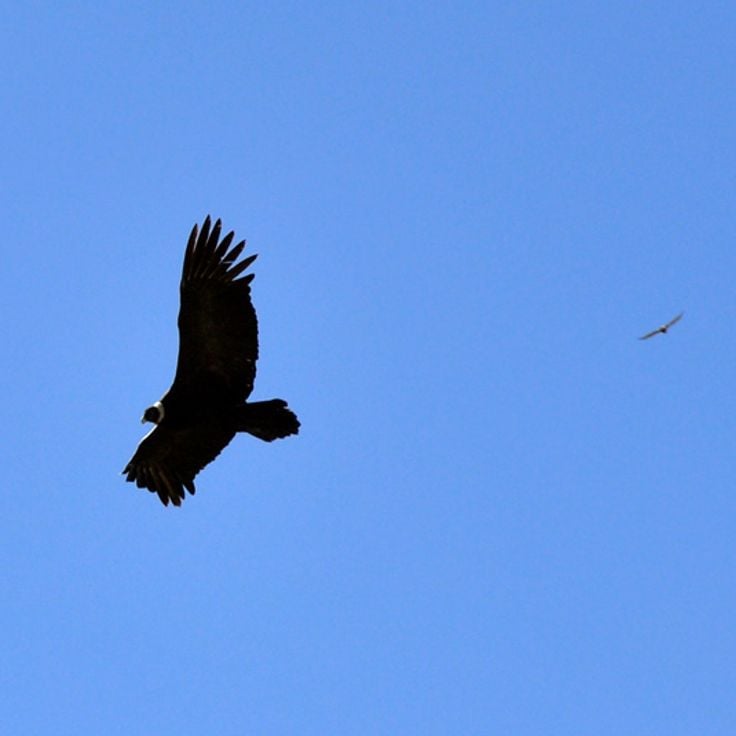 Quebrada de los Condores
