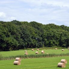 Pinneberger Elbmarschen