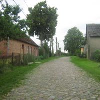 Condado de Goleniów