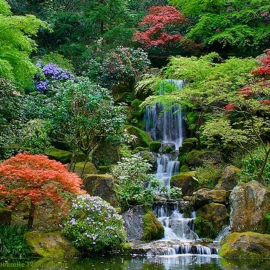 Portland Japanese Garden