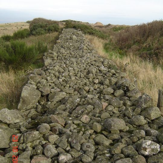 Loirston Country Park, cairn and dyke 220m NE of Cat Cairn