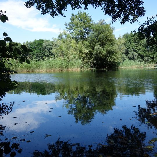 Speckgraben bei Mainflingen