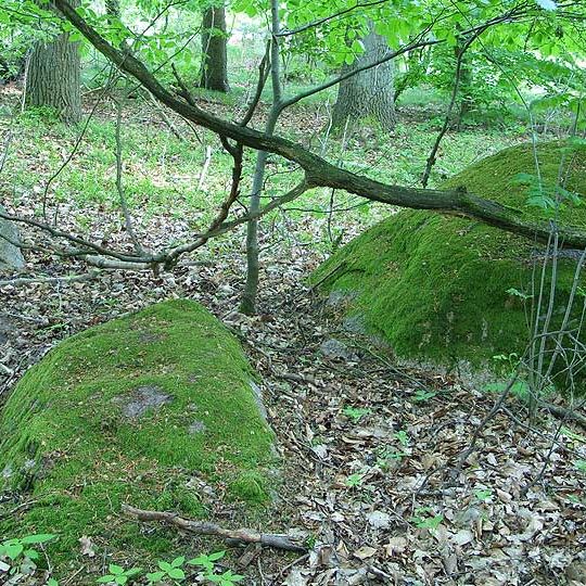 Großsteingräber bei Bornsen