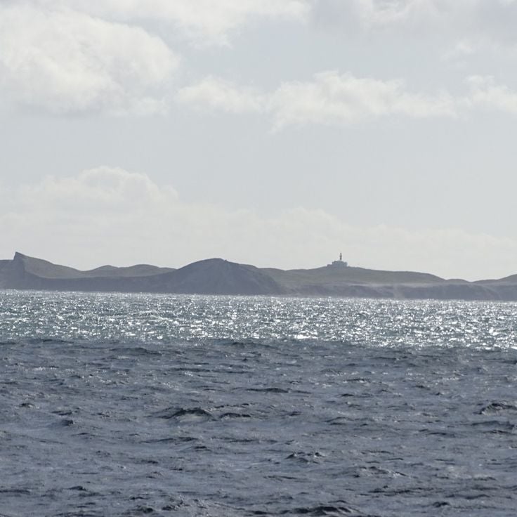 Isla Magdalena