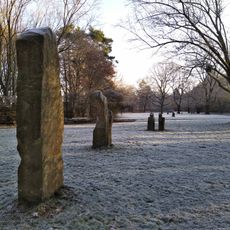 Studies of Human Being