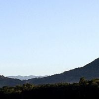 Amazonas