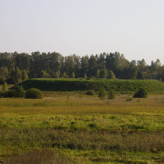 Мсцібаўскае гарадзішча