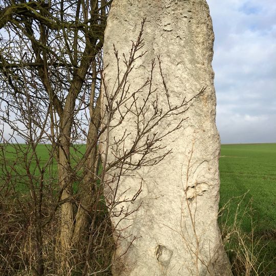 Menhir von Feldengel