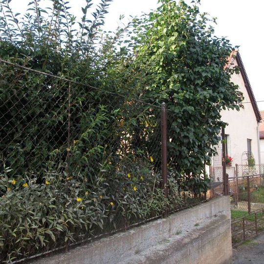 Kříž v Drahoňově Újezdu v zahradě