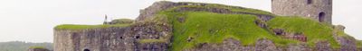 Panoramic View 0