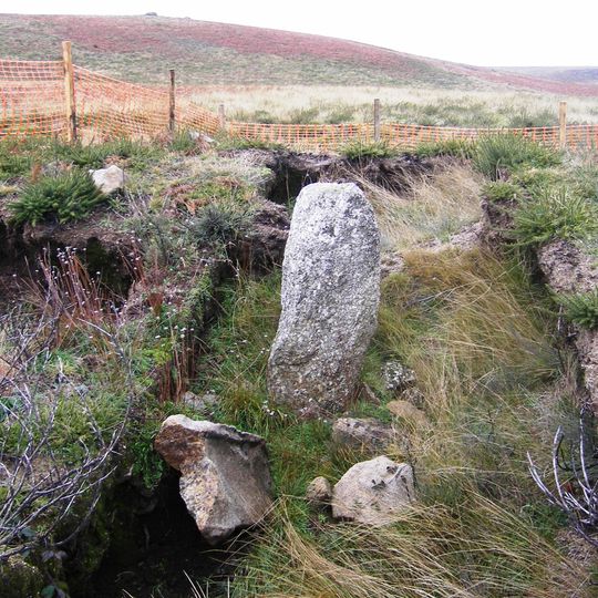 Conjunto Megalítico de Felgueiras