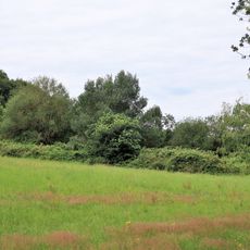 Hecke in der Kleingartenanlage Am Ruhhof
