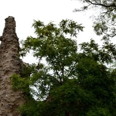 Castle of Château-Gaillard