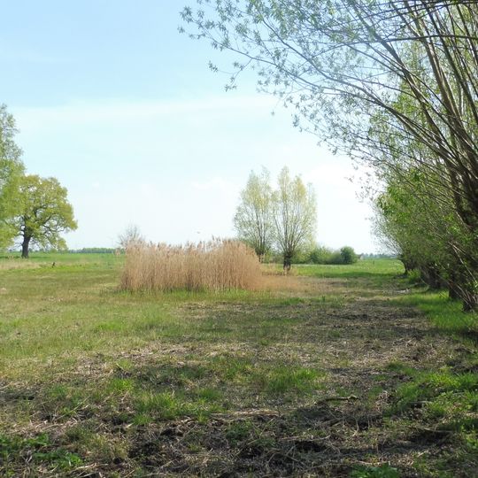 NSG Hederaue mit Thueler Moorkomplex