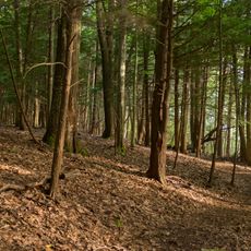 Laurel Hill State Park