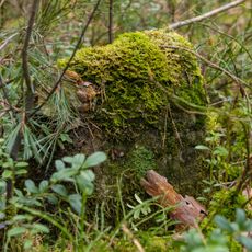 Grenzstein Fürther Stadtwald in Fürth