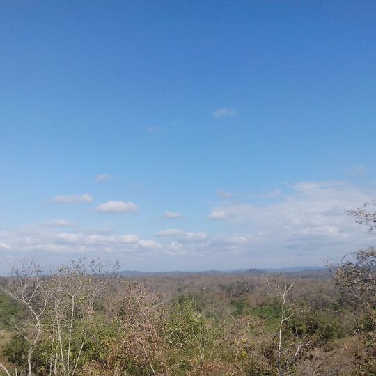 Tumbes-Piura dry forests