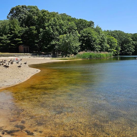 Hooks Creek Lake Beach
