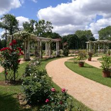 International Rosepark
