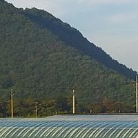Miryang